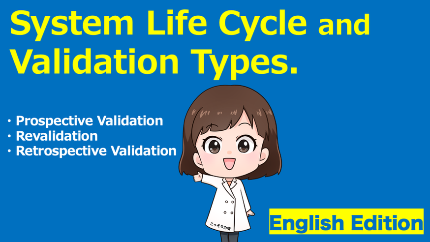 System Life Cycle and Validation Types